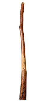 Wix Stix Didgeridoo (WS362)